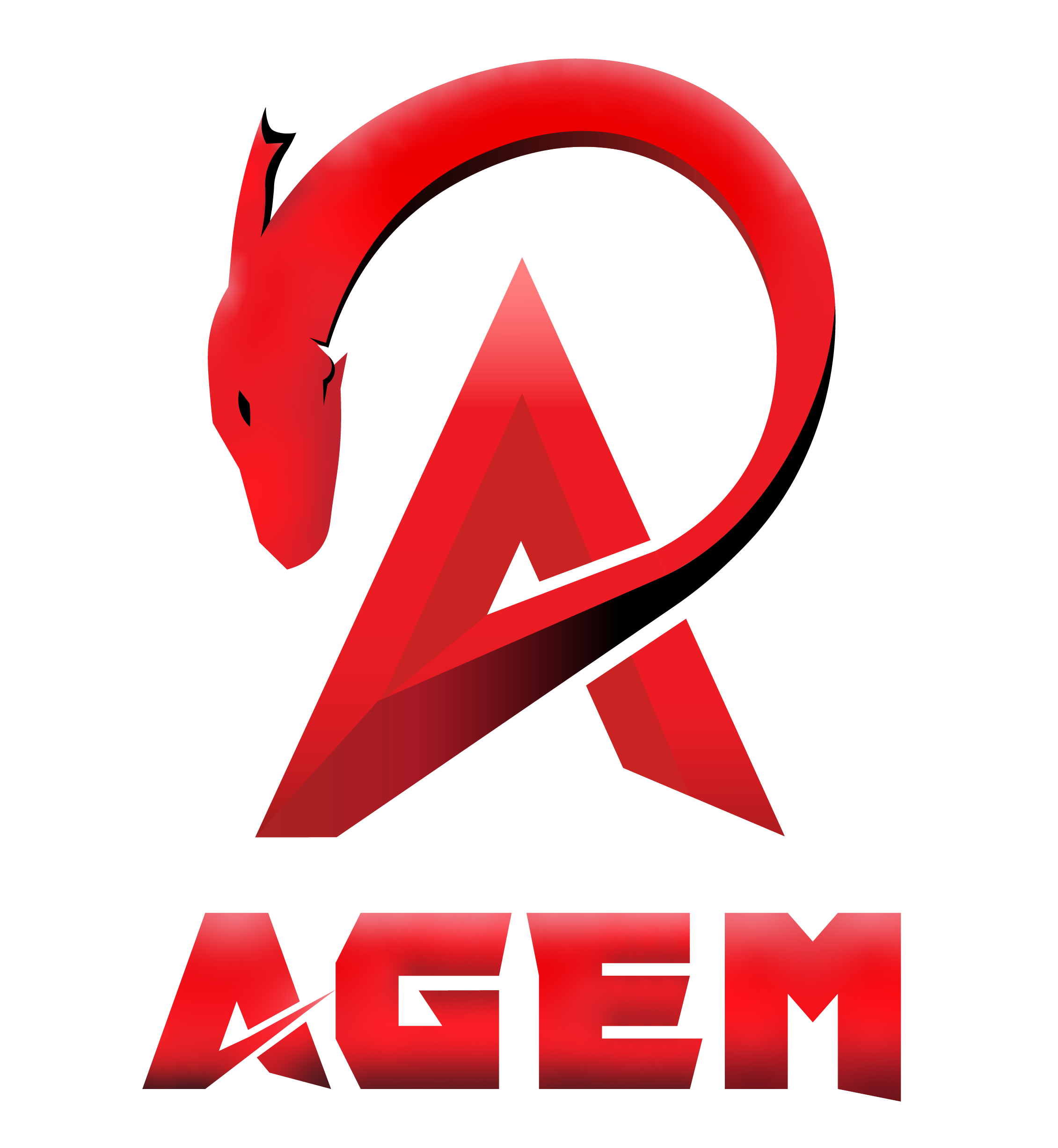 AGEM (Association de Gaming et d\'E-sport de Mons)
